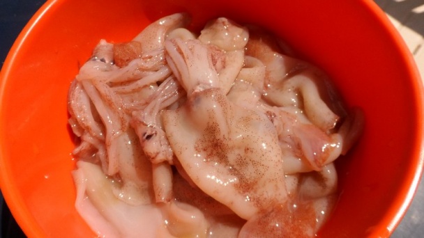 Kalamare na rychlo - obrázok 1