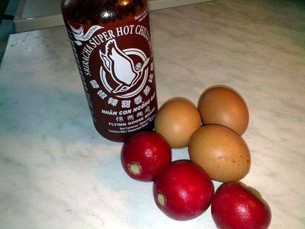 Reďkovková praženica - obrázok 1