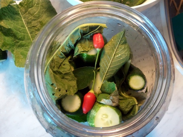 Kvašáky ako ich robím ja (fotorecept) - obrázok 3