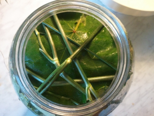 Kvašáky ako ich robím ja (fotorecept) - obrázok 5