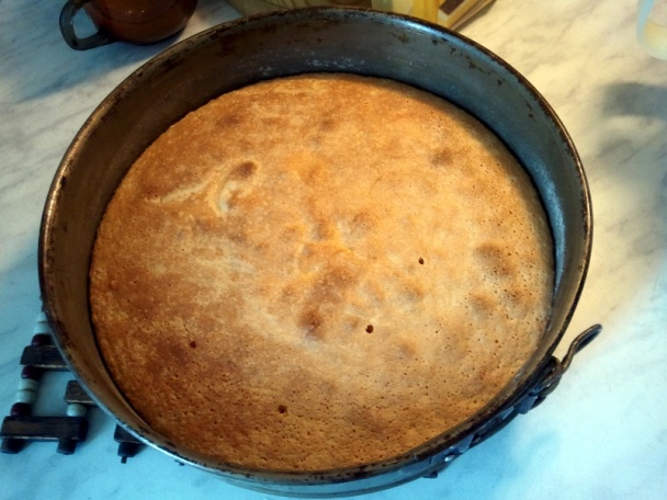 Marhuľový dezert (fotorecept) - obrázok 6