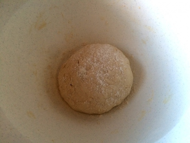 Obyčajný cesnakový posúch (fotorecept) - obrázok 1