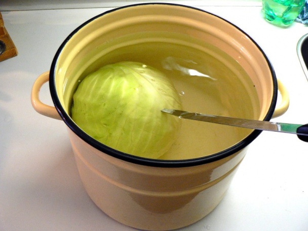 Sárma (fotorecept) - obrázok 1