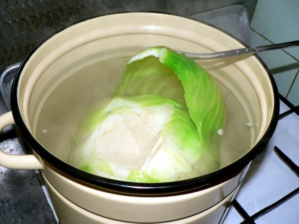 Sárma (fotorecept) - obrázok 4