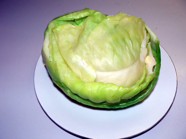 Sárma (fotorecept) - obrázok 5