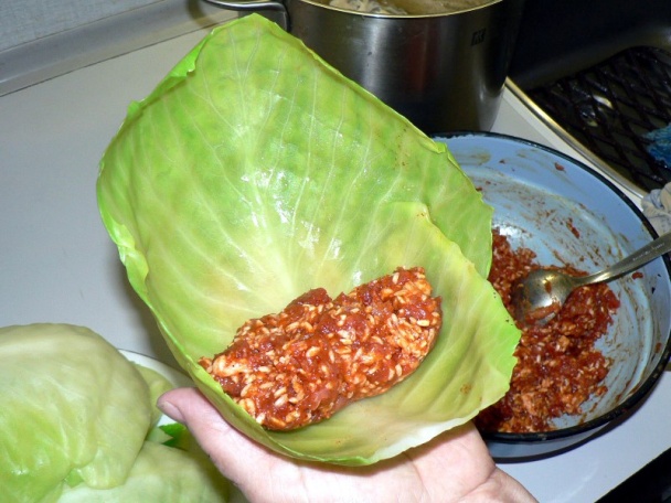 Sárma (fotorecept) - obrázok 7