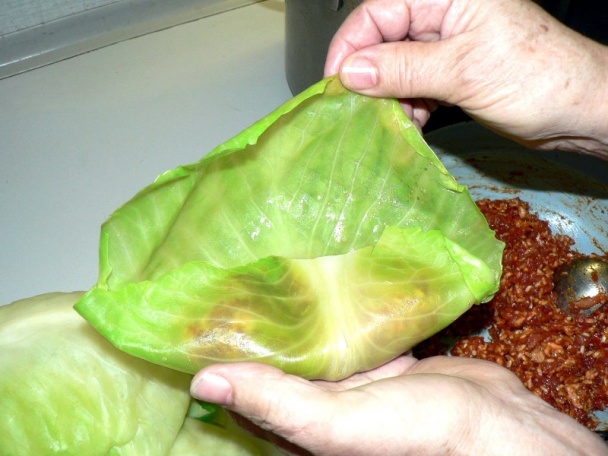 Sárma (fotorecept) - obrázok 8