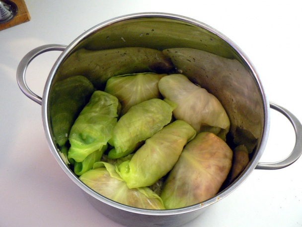 Sárma (fotorecept) - obrázok 12