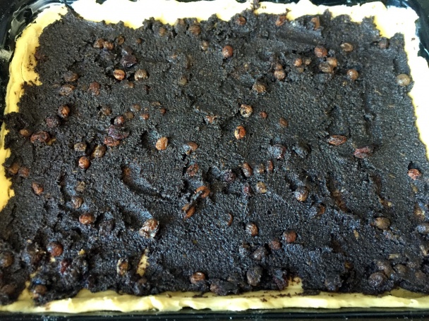 Multiplnkový mrežovník (fotorecept) - obrázok 7