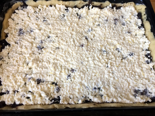 Multiplnkový mrežovník (fotorecept) - obrázok 8