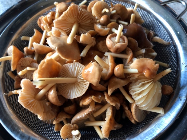 Jarná špičková polievka (fotorecept) - obrázok 1