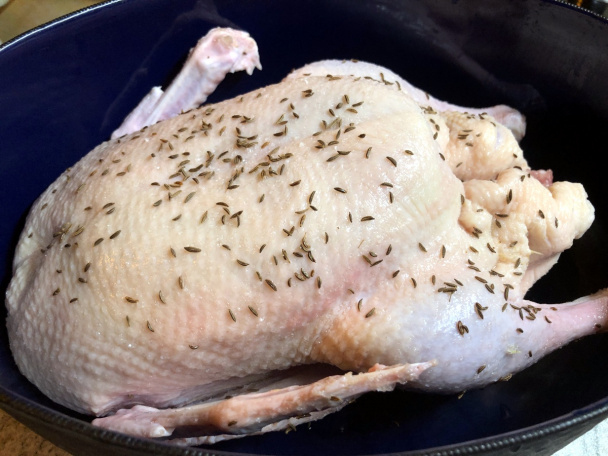 12-hodinová kačica (fotorecept) - obrázok 1