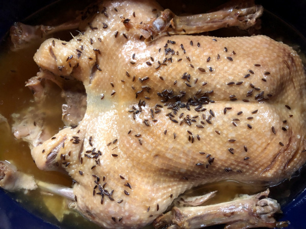 12-hodinová kačica (fotorecept) - obrázok 2