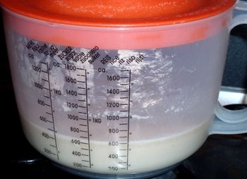 Rozmarínová chlebová pizza s cibuľou a zemiakmi (fotorecept) - obrázok 2