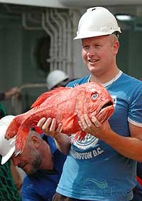 Červenica obyčajná a bazalkovo-cesnakové maslo - obrázok 3