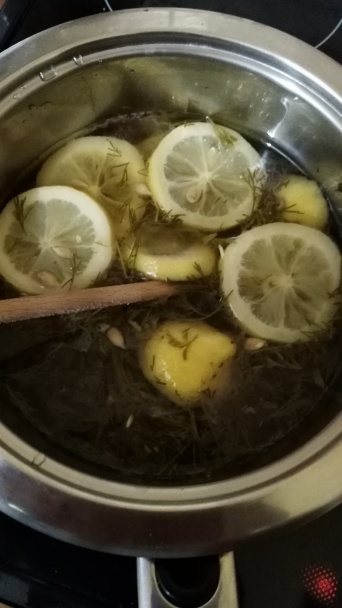 Sirup Cola (Artemisia abrotanum - palina) - obrázok 1