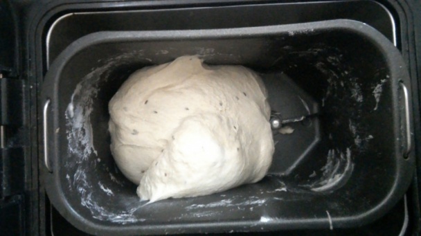 Kváskový chlieb v pekárničke bez rozkvasu (fotorecept) - obrázok 6