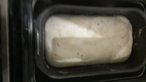 Kváskový chlieb v pekárničke bez rozkvasu (fotorecept) - obrázok 7