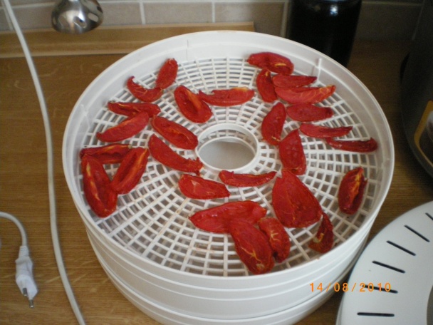 Nakladanie sušených paradajok - obrázok 1