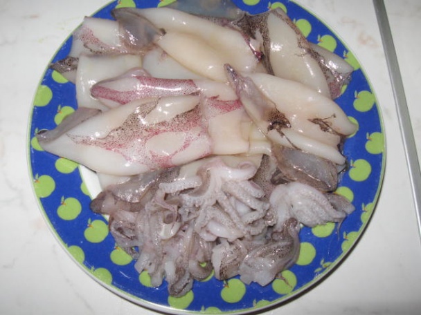 Ligne calamari - kalamáre - obrázok 1