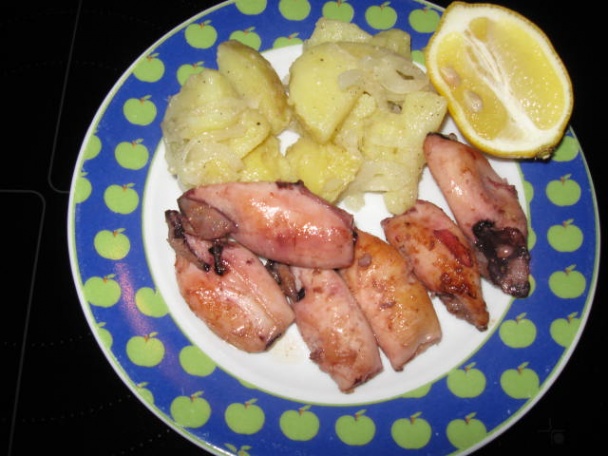 Ligne calamari - kalamáre - obrázok 2