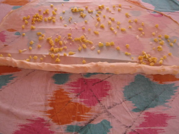 Burek so zemiakmi (fotorecept) - obrázok 9