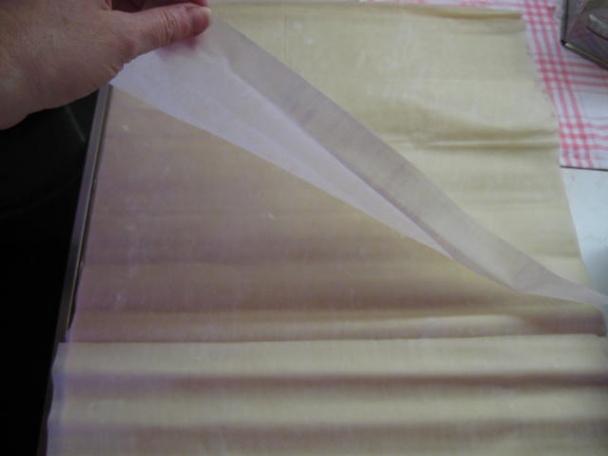 Gibanica (fotorecept) - obrázok 2