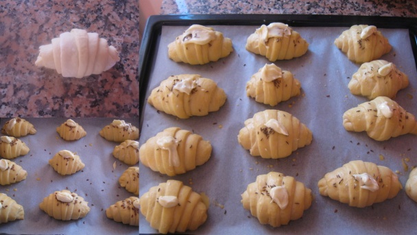 Croissant (fotorecept) - obrázok 4