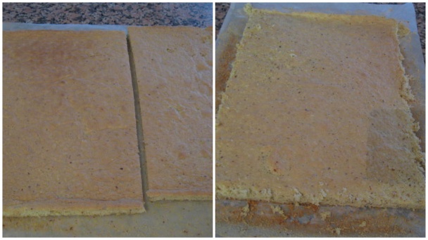 Opera rezy (fotorecept) - obrázok 3