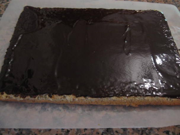 Opera rezy (fotorecept) - obrázok 4