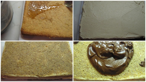 Opera rezy (fotorecept) - obrázok 6