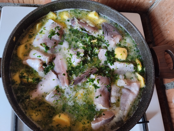 Dalmatínska gregáda (fotorecept) - obrázok 1