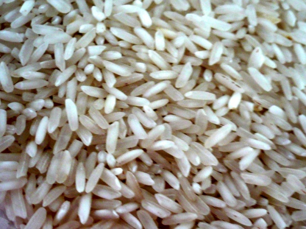 Kuracia pečienka na jablkách (fotorecept) - obrázok 5