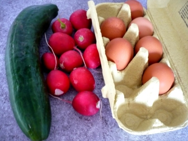 Reďkovka s vajíčkom (fotorecept) - obrázok 1