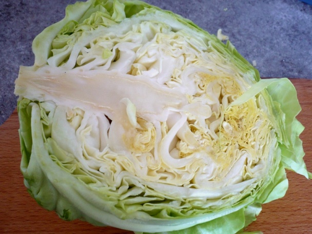 Kuracie prsia na letnej kapuste (fotorecept) - obrázok 2