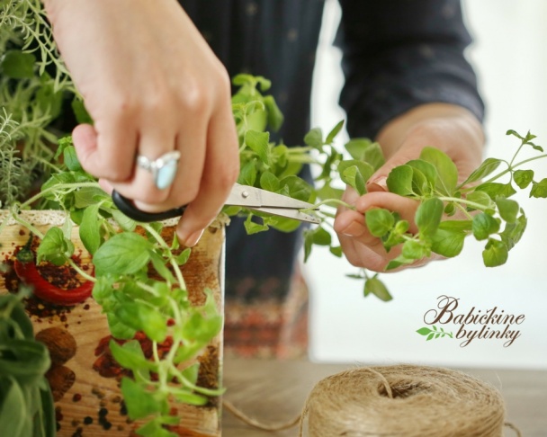 Vyrobte si domácu vegetu - obrázok 2