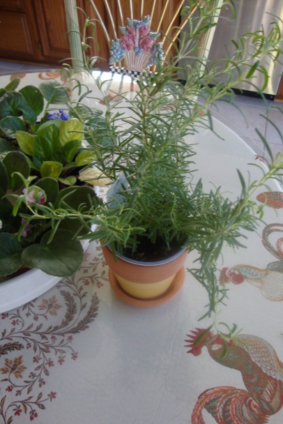 Frišne kurče v tepši (fotorecept) - obrázok 6