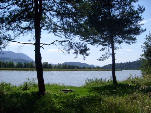 Horárova dvojdňová šošovica (fotorecept) - obrázok 7