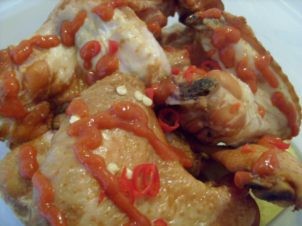 Krídla červeného draka (fotorecept) - obrázok 1