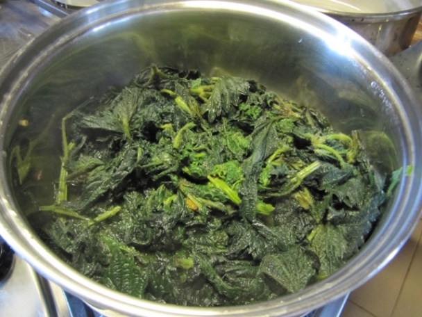 Žihľavová roláda alebo Zelená je IN! (fotorecept) - obrázok 3