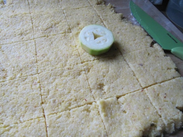 Rebrove čerto (fotorecept) - obrázok 5