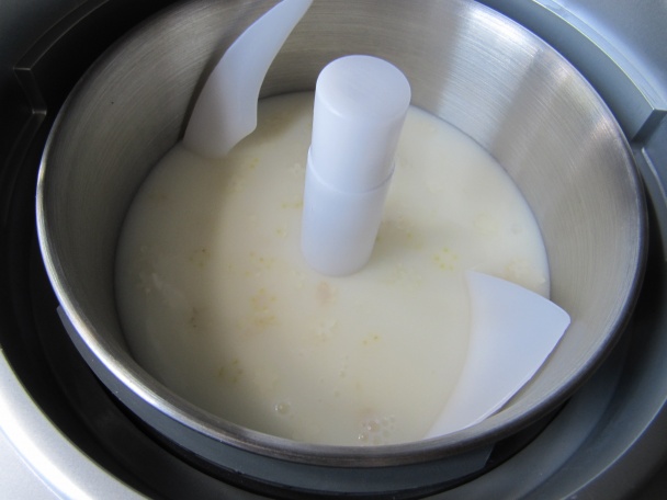 Bazová a čokoládová zmrzlina (fotorecept) - obrázok 3