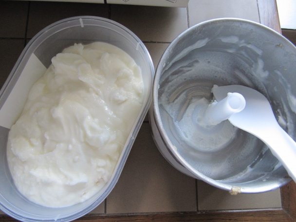 Bazová a čokoládová zmrzlina (fotorecept) - obrázok 4