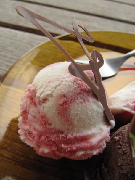 Bazová a čokoládová zmrzlina (fotorecept) - obrázok 9