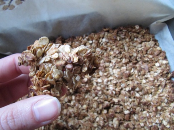 Zapekané ovsené vločky (fotorecept) - obrázok 6