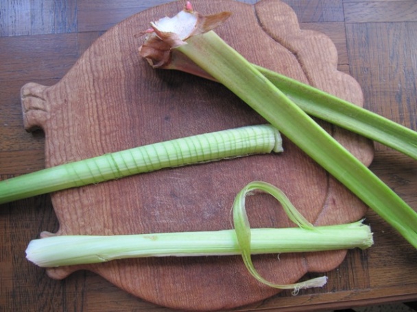 Rebarborová a figová zmrzlina - obrázok 1