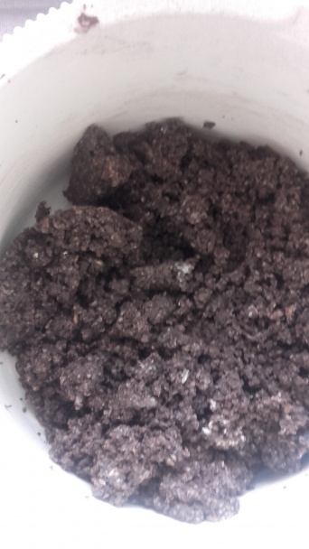 Svieženky (fotorecept) - obrázok 4