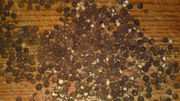 Pečené voňavé jahňacie stehno (fotorecept) - obrázok 3