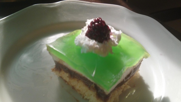 Černicové kocky (fotorecept) - obrázok 5