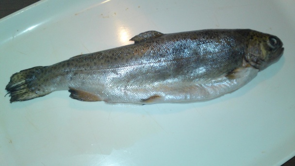 Pstruh z Gave (fotorecept) - obrázok 1